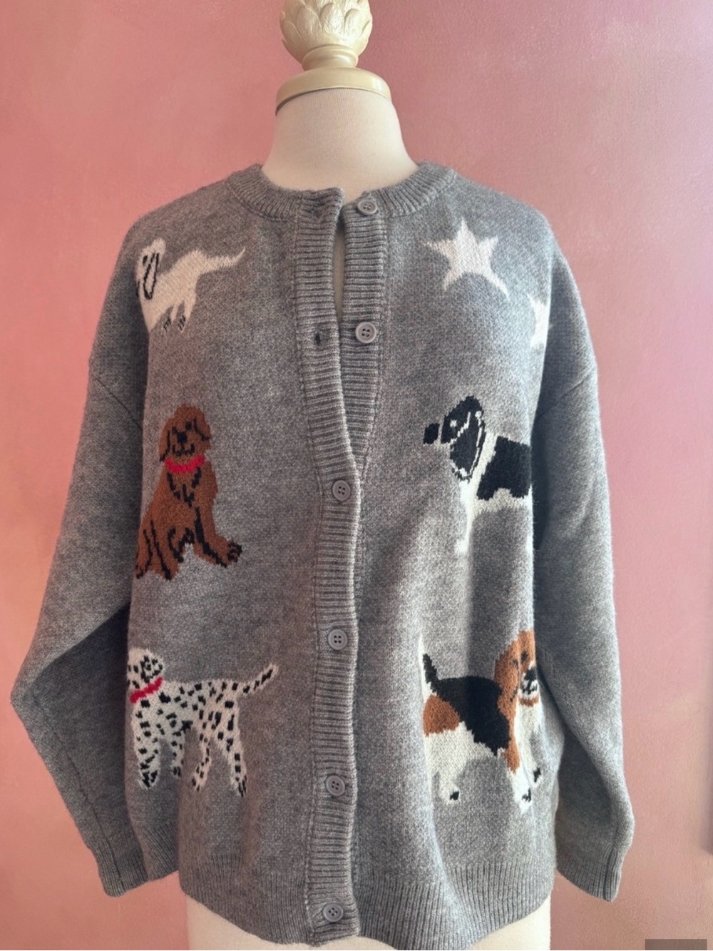 Gray Dog Star Cardigan Sweater